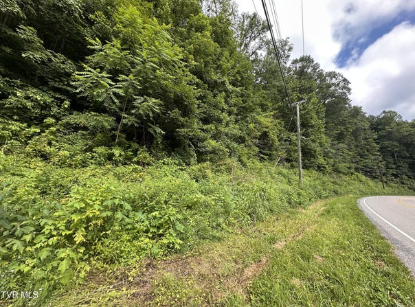 Tbd Wise Street, Saint Paul, VA 24283