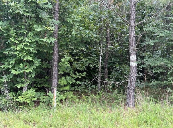 91.81 AC Brickhouse Road, Randolph, VA 23962
