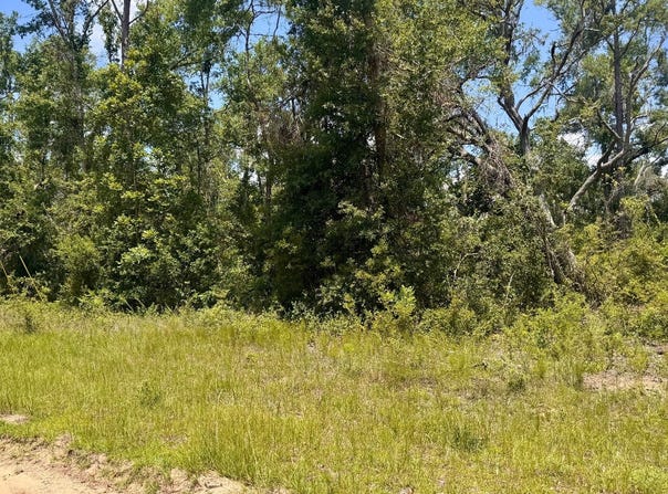 LOT16 NW SOUTHERN OAK TERRACE, Jennings, FL 32053