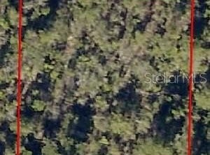 MANOR BOULEVARD, FOUNTAIN, FL 32438