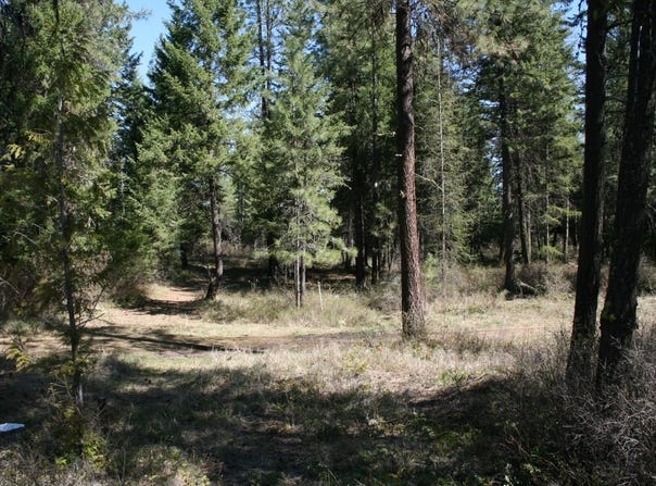 Bowler Rd, Springdale, WA 99173