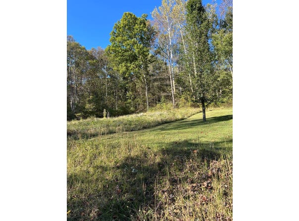 Barcus Rd, Grafton, WV 26354