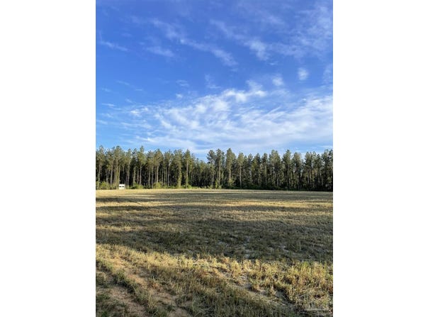 6950 Luth Rd, Molino, FL 32577
