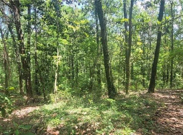 0 Murray Heights Drive N, Irvington, AL 36544