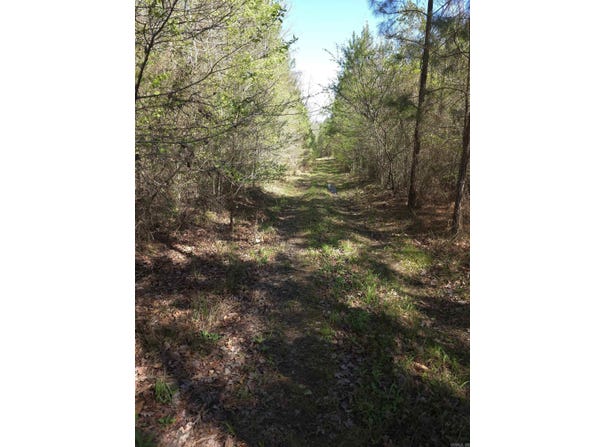 Shawmut Road, Murfreesboro, AR 71958