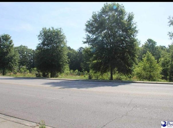 1403 S Fifth Street, Hartsville, SC 29550