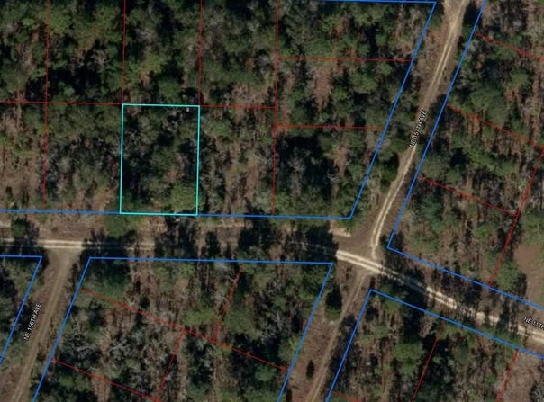 Tbd NE 11TH PLACE, WILLISTON, FL 32696