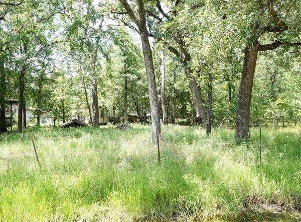 6136 Apache Drive, Mabank, TX 75156