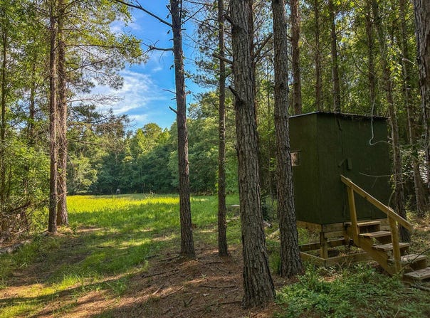0 Fikes Ferry Road, Marion, AL 36756