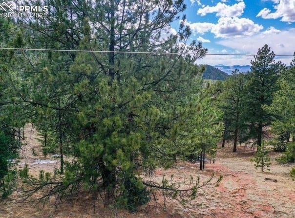 395 WABASH Terrace, Cripple Creek, CO 80813