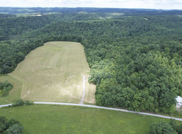 Tbd McRoberts Road, Wallingford, KY 41093