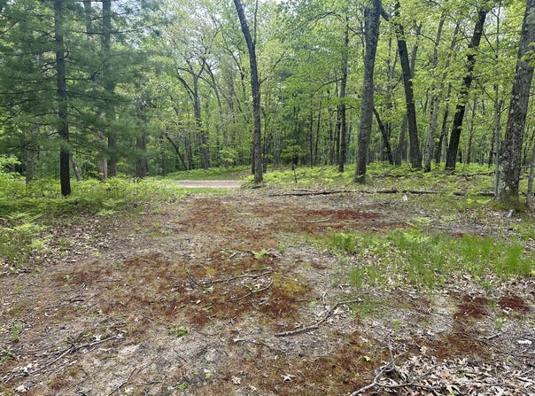 9846 W Oxpath, Baldwin, MI 49304