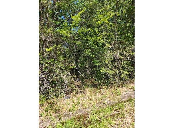 000 Lazy Launch Lane, Mabank, TX 75156