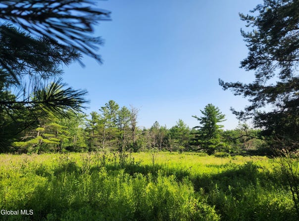 L30 Skyline Drive, Delanson, NY 12053