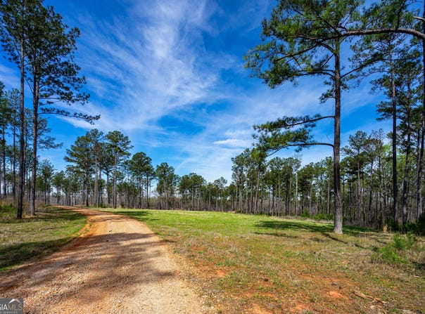 0 Shake Rag, Pine Mountain, GA 31822
