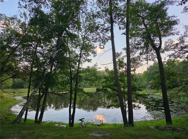 6887 Jennifer Circle, Randall, MN 56475