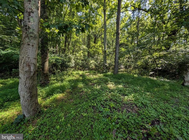 LOTS 83-84 ORIOLE CT, FRONT ROYAL, VA 22630