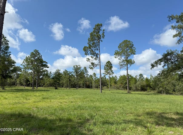 0 Lake Drive, Marianna, FL 32448
