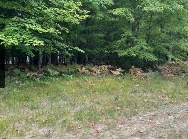 7250 Oak Meadow Dr, Twin Lake, MI 49457