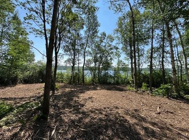 XXX1 Koller Ln, Cotton, MN 55724