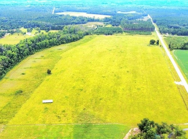 3690 N Highway 121, Blackshear, GA 31516
