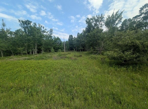 W Long Lake Road, Alpena, MI 49707