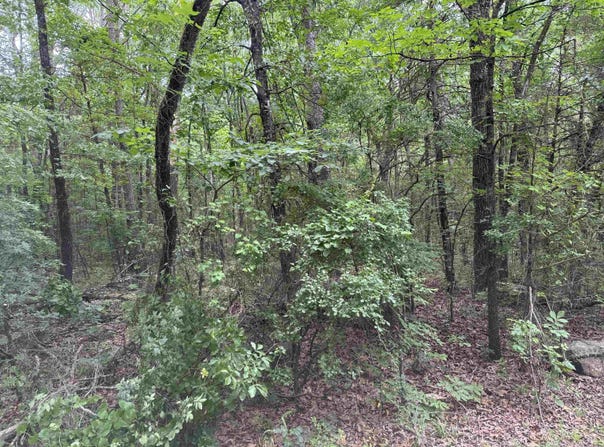 NO. BROADWAY Street, Heber Springs, AR 72543