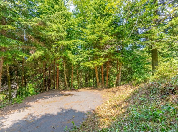Lot 502 Beaver Pond Lane, Gleneden Beach, OR 97388