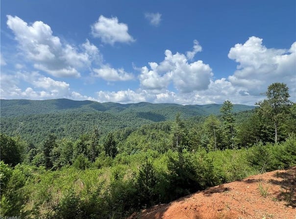 Tbd Lazy Bear Lane, Purlear, NC 28665