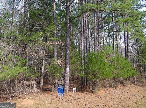 Lot 23 Benjamin Brown Court, Elberton, GA 30635