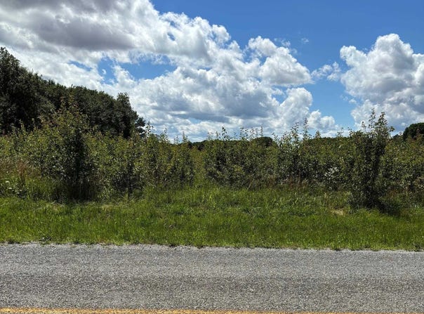 Lot 16 Vanzille Lane, Athens, AL 35611