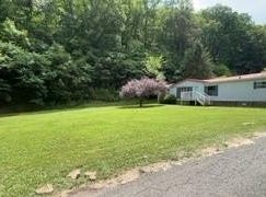 123 Spring Br Rd, Hatfield, KY 41514