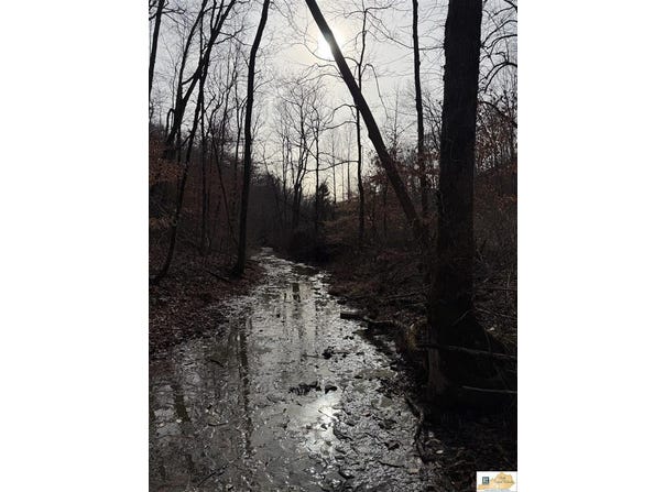 1957 Old 61 Loop Road, Breeding, KY 42728