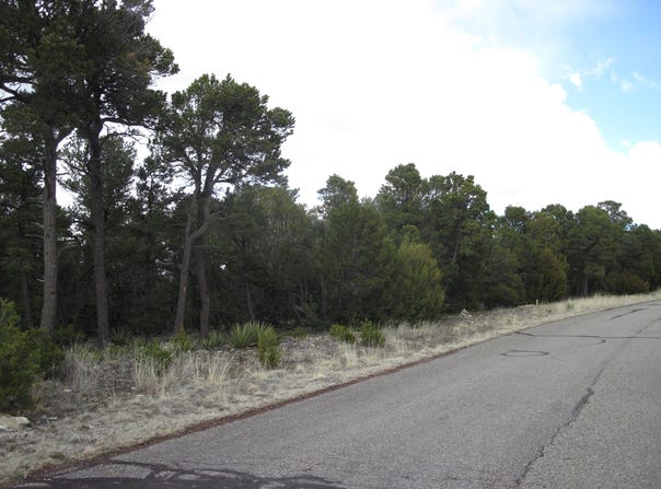 207 VIA SEDILLO Road, Tijeras, NM 87059