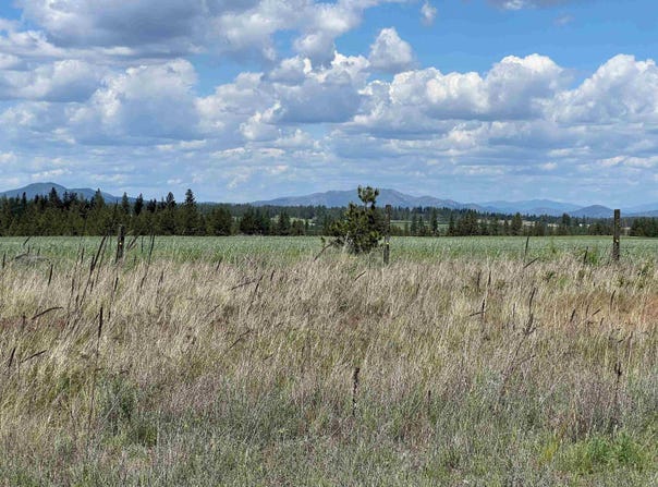 Xxx N Wood Rd, Reardan, WA 99029
