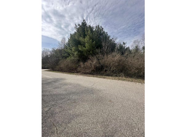V/L-1 White Pine Drive, Hart, MI 49420