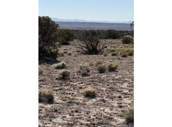 N6549, St. Johns, AZ 85936