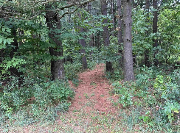 May Rd, Potsdam, NY 13676