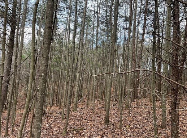Lot 12 Fisher Valley Road, Dobson, NC 27017