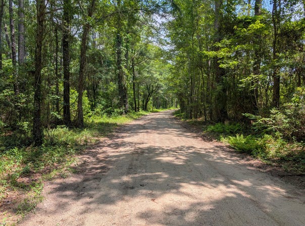 1871 Bellfield Road, McClellanville, SC 29458