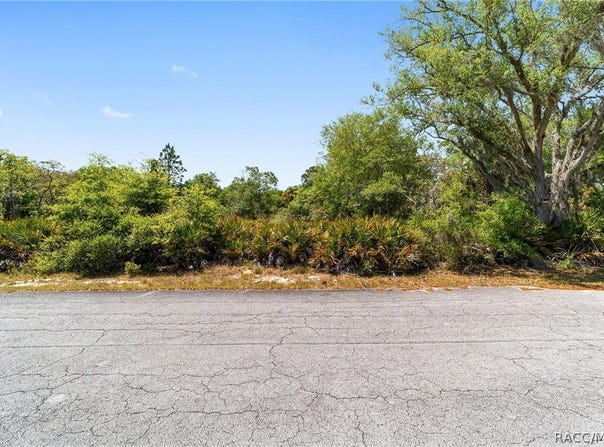 12577 W Rosemary Place, Crystal River, FL 34428