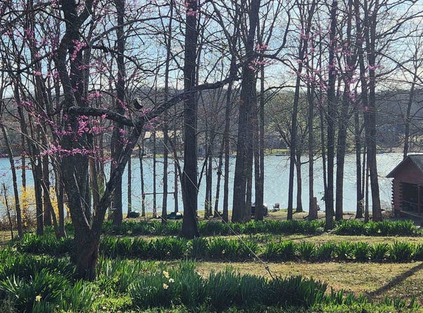 W Lakeshore Drive, Cherokee Village, AR 72529