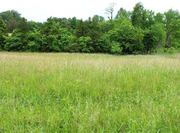 695 Calvert Road, Adolphus, KY 42120