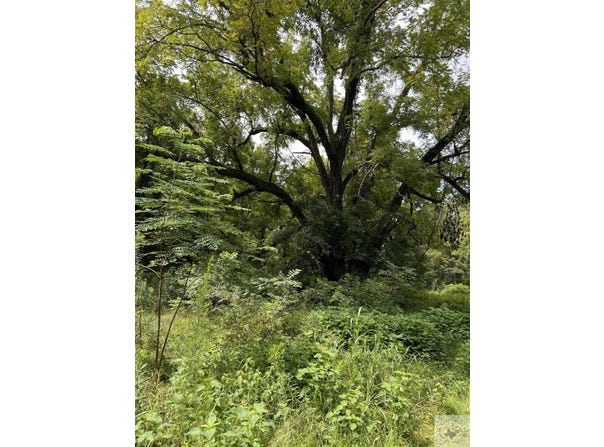 1057 County Road 3230, Clarksville, TX 75828