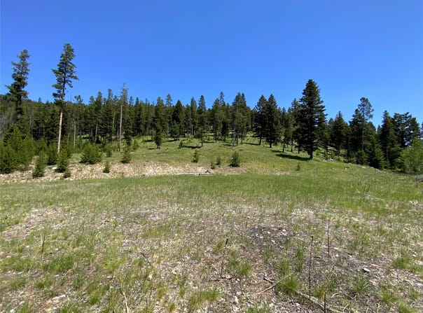 Lagger Gulch Road, Anaconda, MT 59711