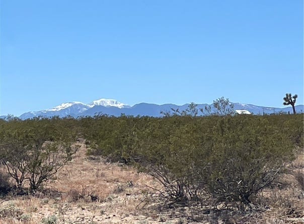 Polaris Avenue, Joshua Tree, CA 92252
