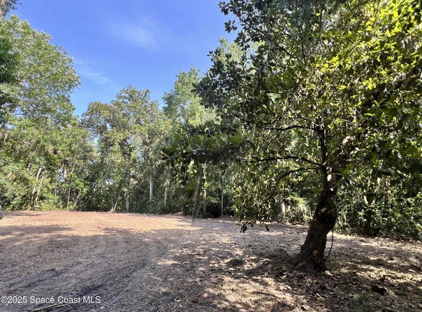 0000 Sandra Lane, Mims, FL 32754