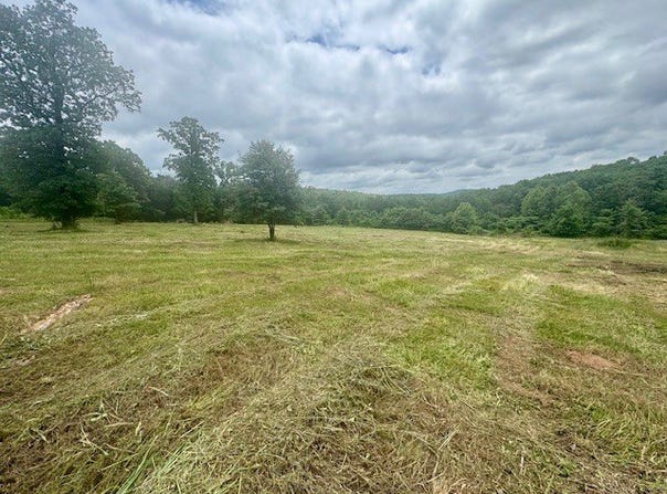 Peaceful Home Lane, Natural Dam, AR 72948