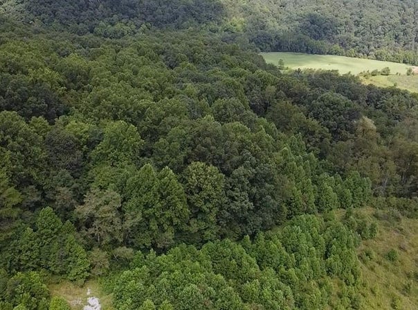 Scenic Dr., RICH CREEK, VA 24147