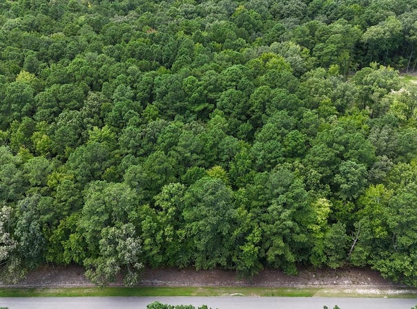 Tbd Boat Ramp Road, New Hope, NC 27944